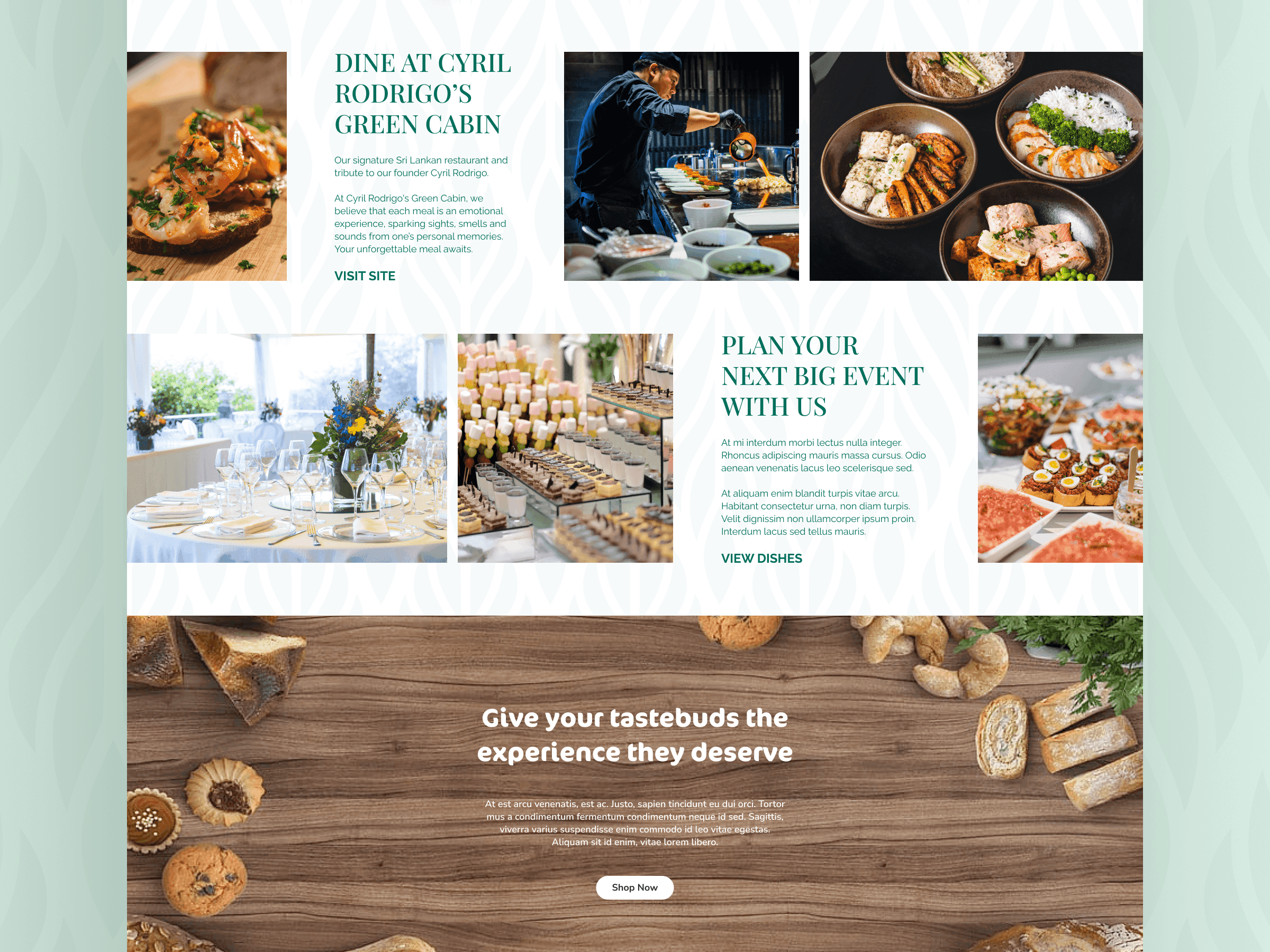 Green Cabin - Website UI 2